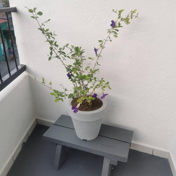 Lovely Studio Apartment With Balcony Ac & Wi-Fi, Minutes From Downtown! Сіуатанехо Екстер'єр фото